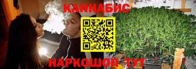 стафф Гусев