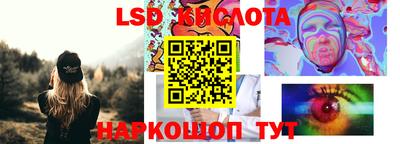 стафф Гусев