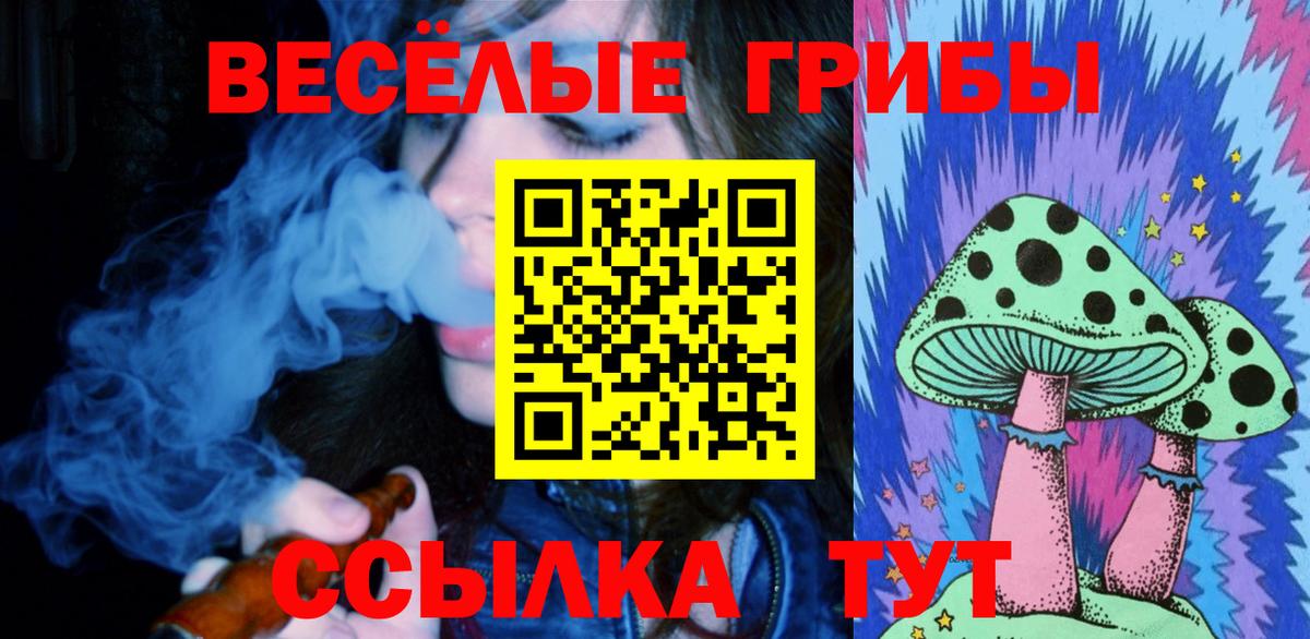 Галлюциногенные грибы Magic Shrooms  Вход с VPN  Луга 