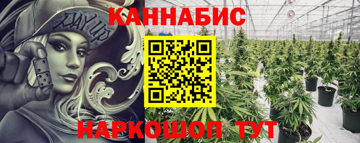 Каннабис индика Луга